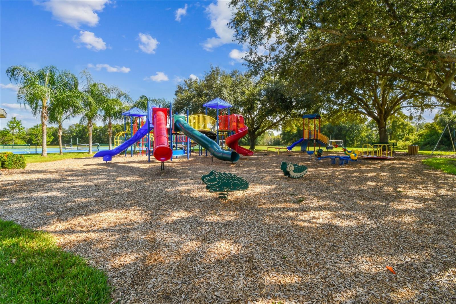 SOUTHFORK AT VAN DYKE FARMS - Residential