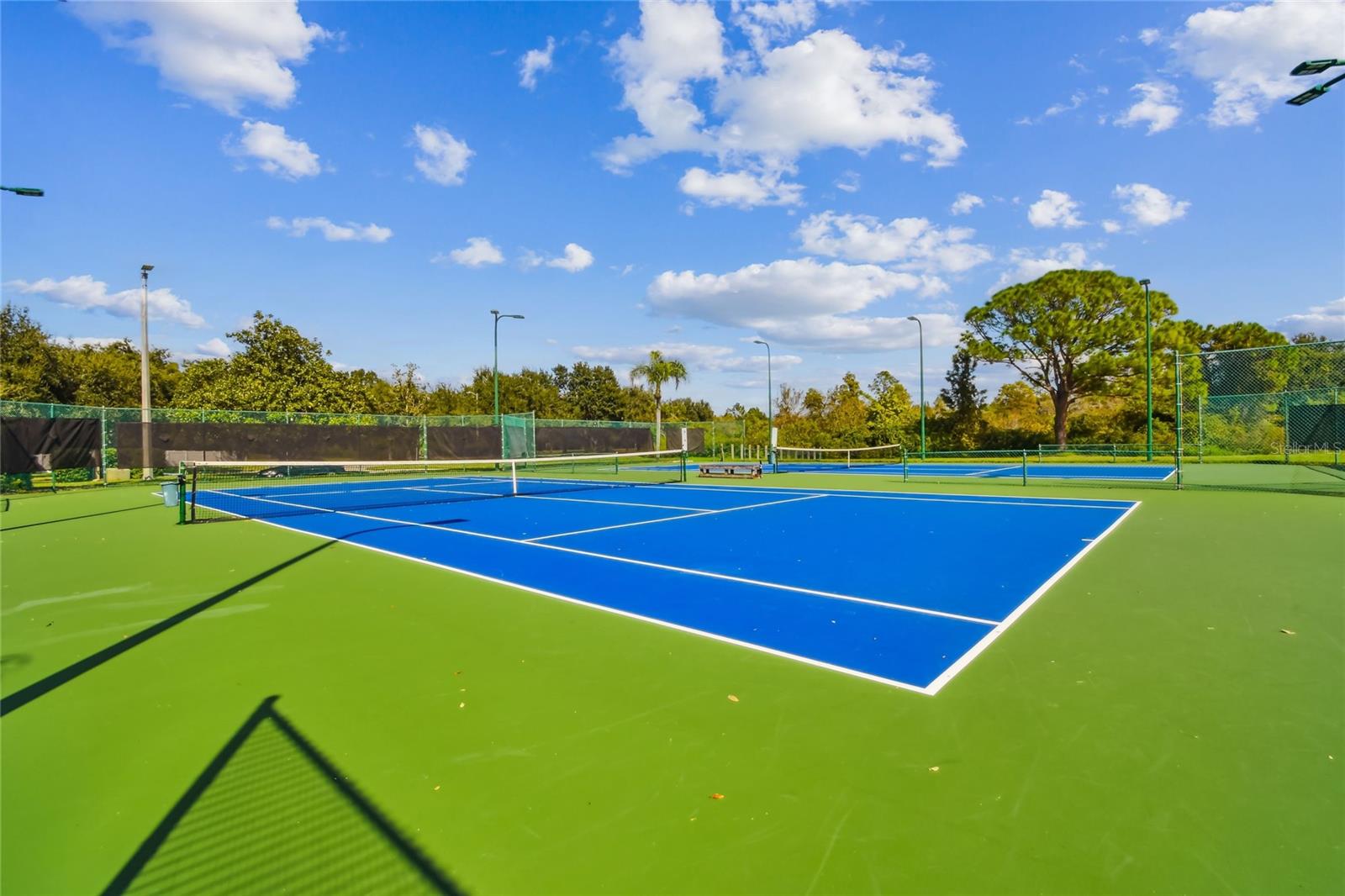 SOUTHFORK AT VAN DYKE FARMS - Residential