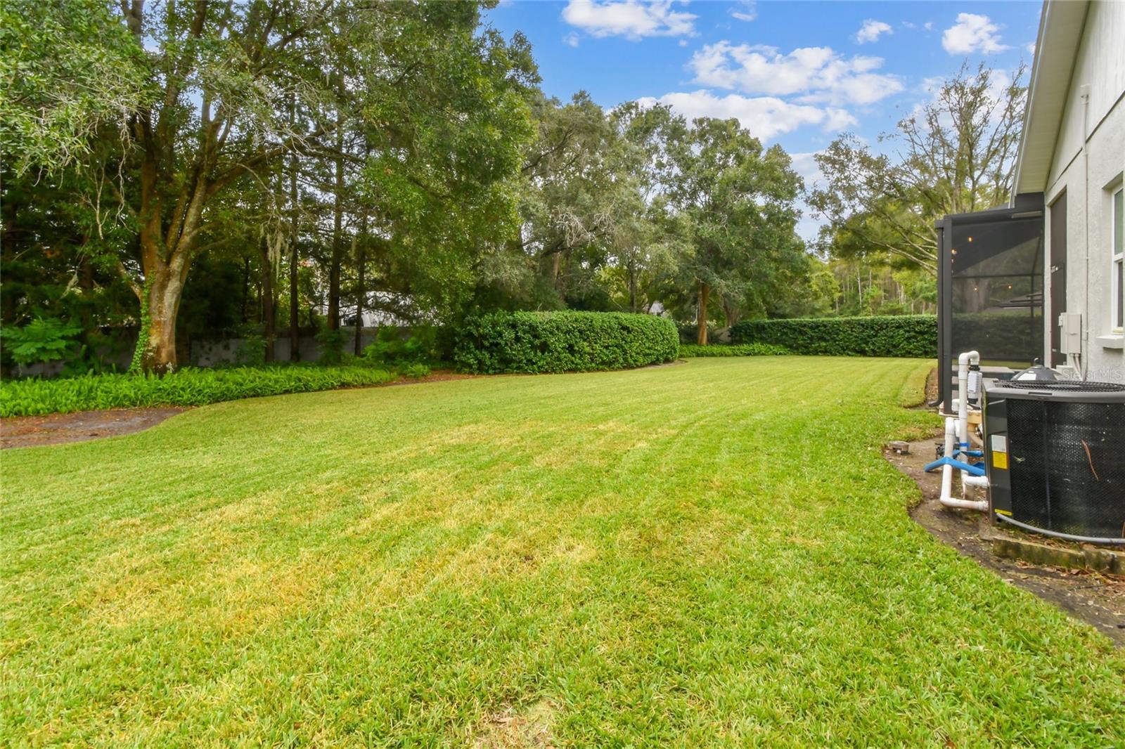 SOUTHFORK AT VAN DYKE FARMS - Residential