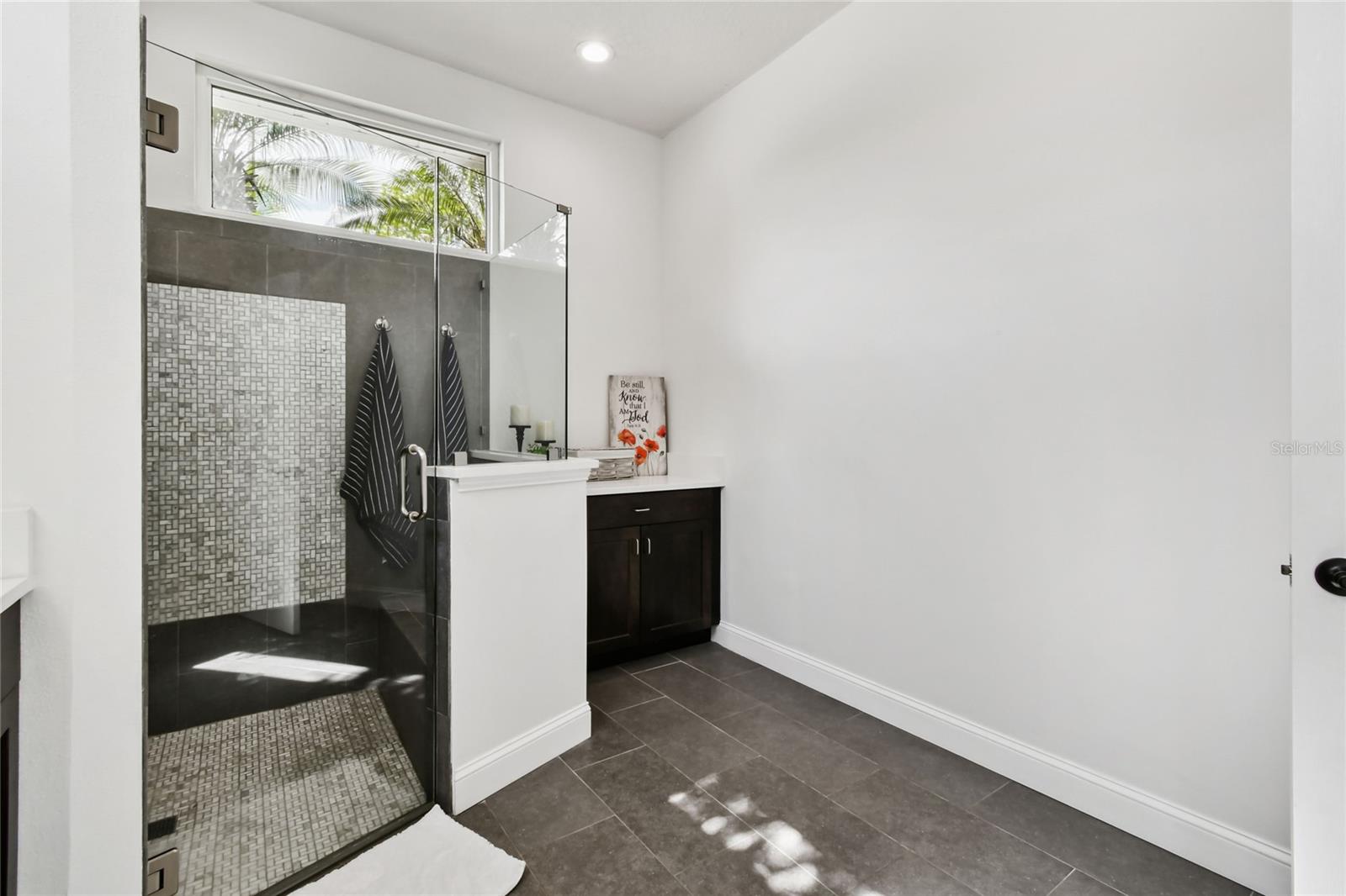 SOUTHFORK AT VAN DYKE FARMS - Residential