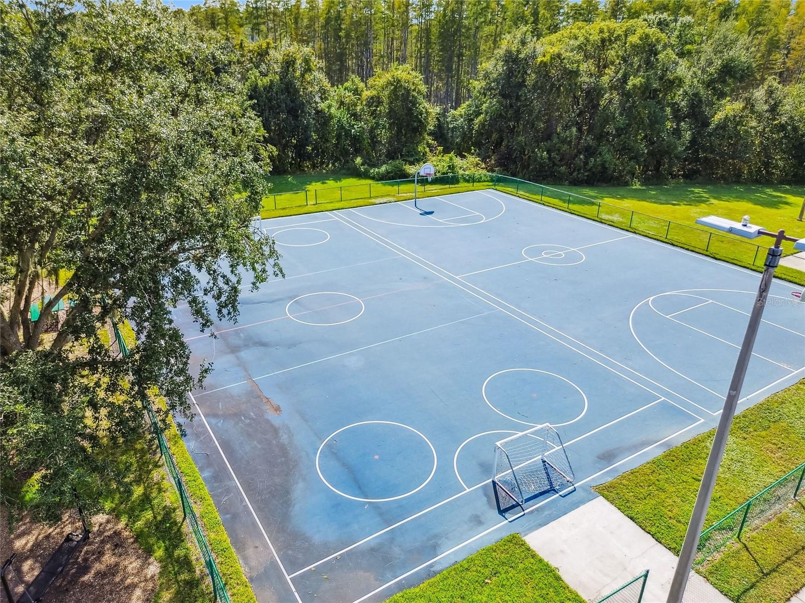 SOUTHFORK AT VAN DYKE FARMS - Residential