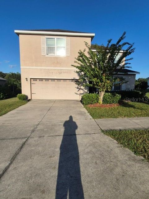 197 BLACKSTONE CREEK ROAD GROVELAND FL 34736