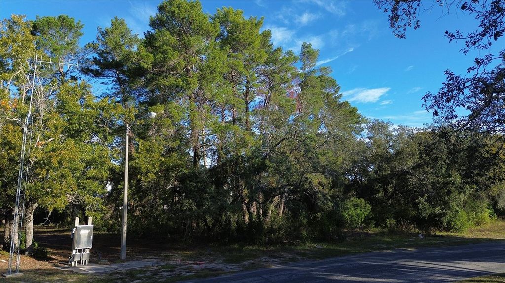 Photo of 7931 Rhanbuoy Road, Spring Hill, FL 34606 (MLS # TB8444851)