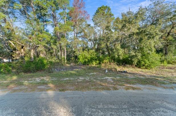 BERKELEY MANOR PH I - Land