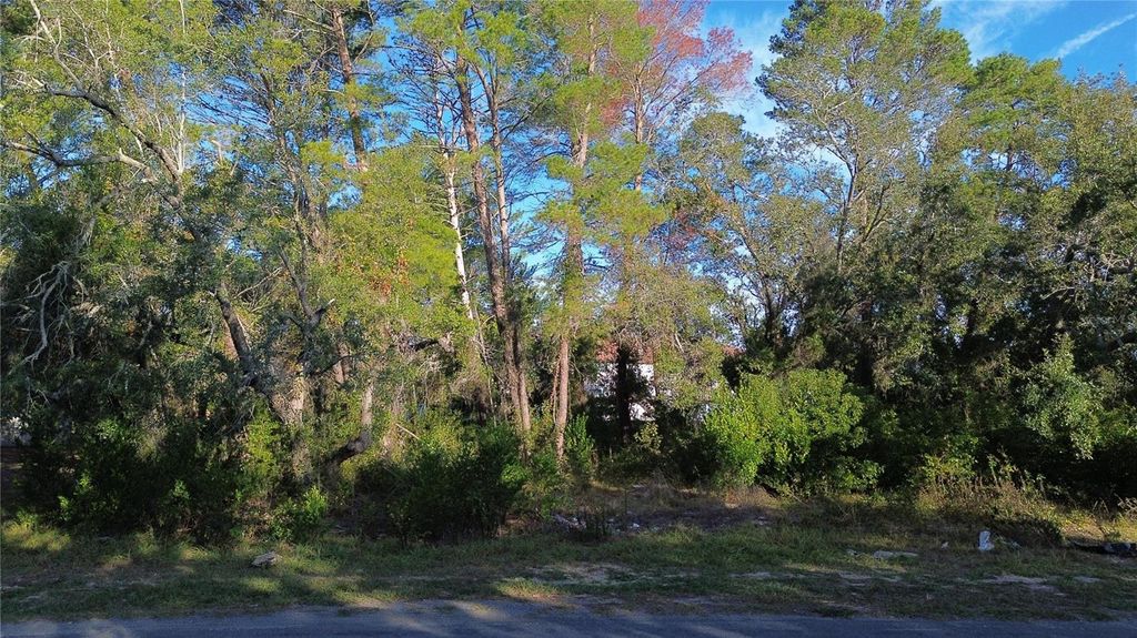 Photo of 7931 Rhanbuoy Road, Spring Hill, FL 34606 (MLS # TB8444851)