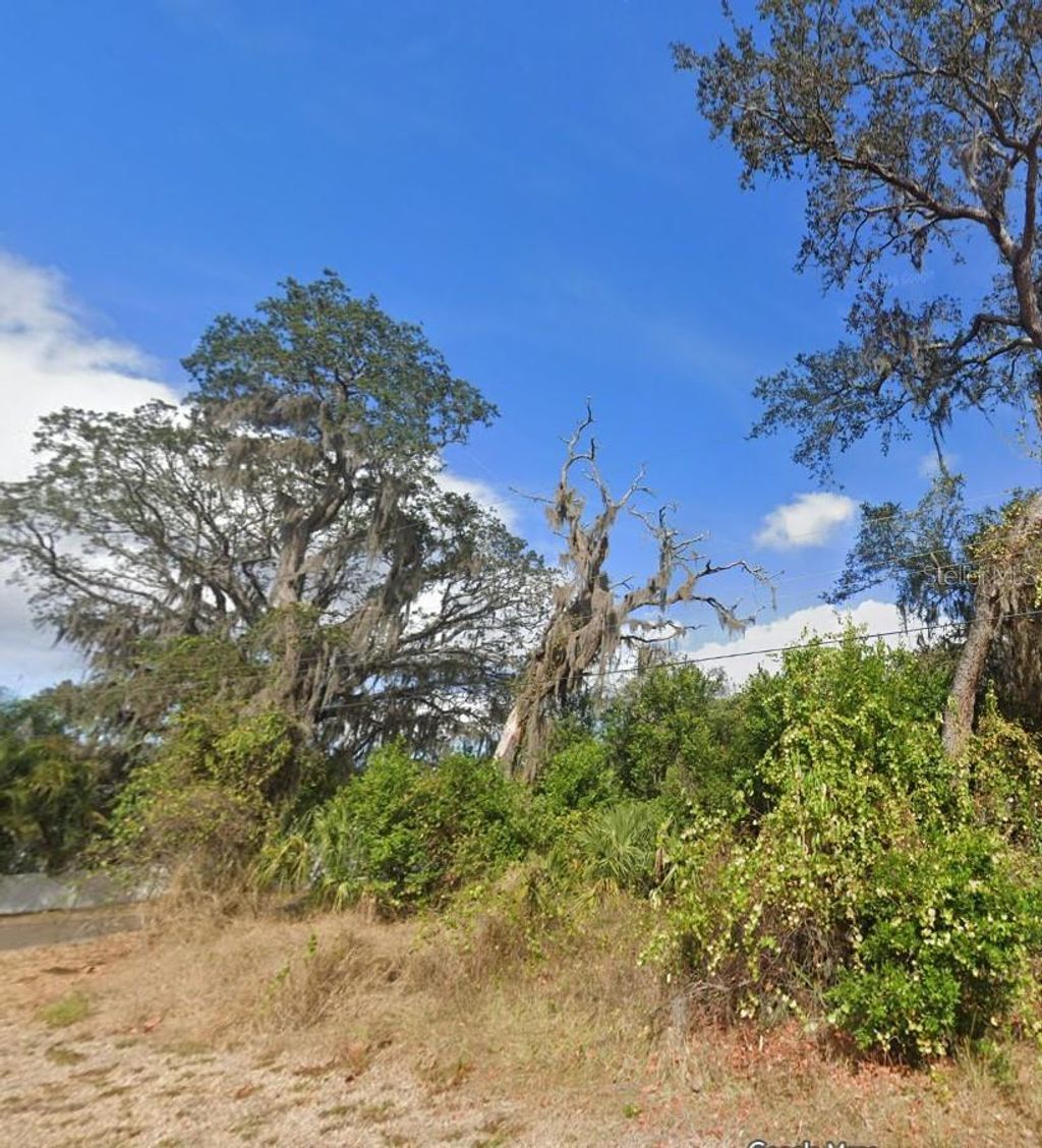 Photo of 00 Oak Ln, Odessa, FL 33556 (MLS # O6410374)