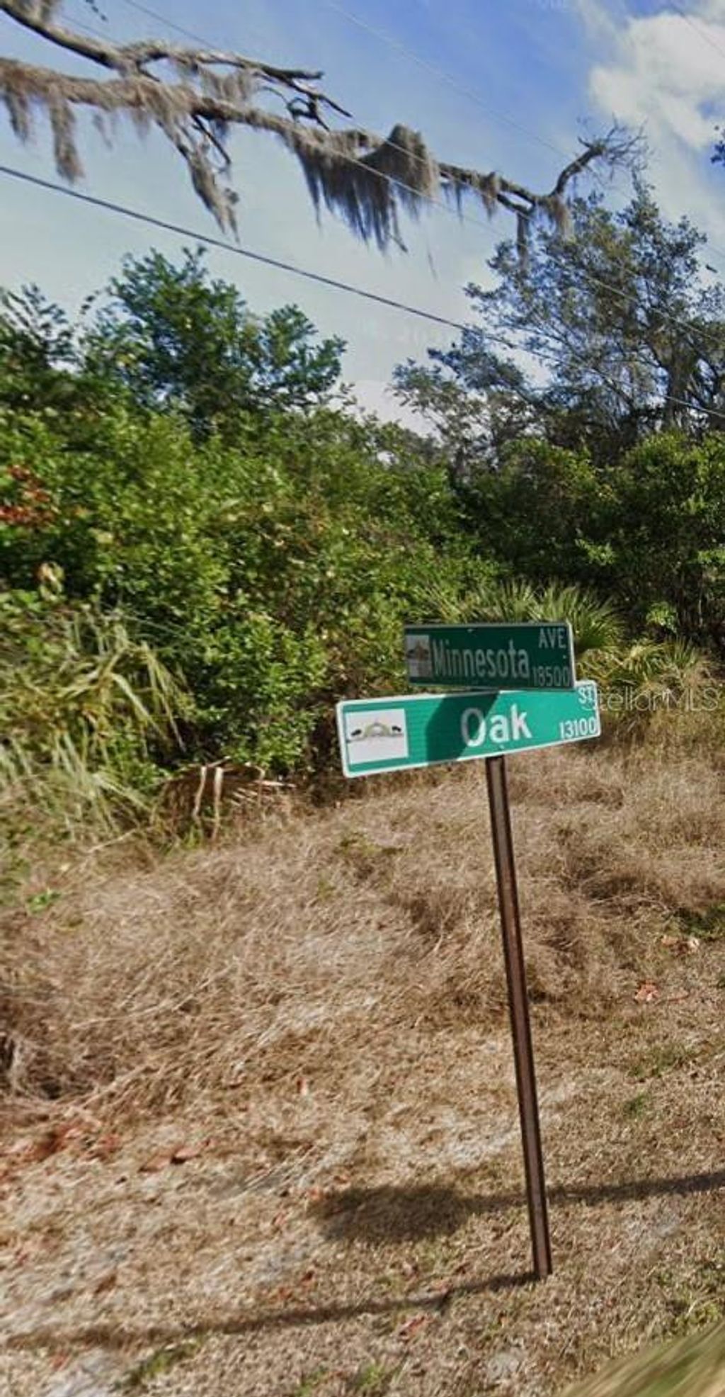 Photo of 00 Oak Ln, Odessa, FL 33556 (MLS # O6410374)