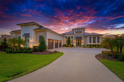 10509 BROADLAND PASS THONOTOSASSA FL 33592