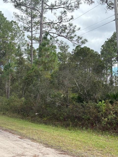 DAYTONA NORTH SUB - Land