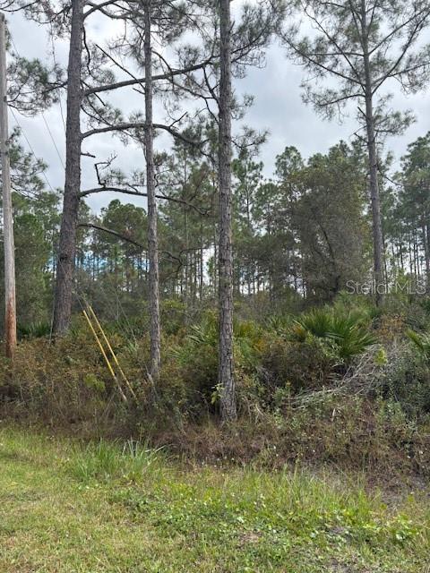 DAYTONA NORTH SUB - Land