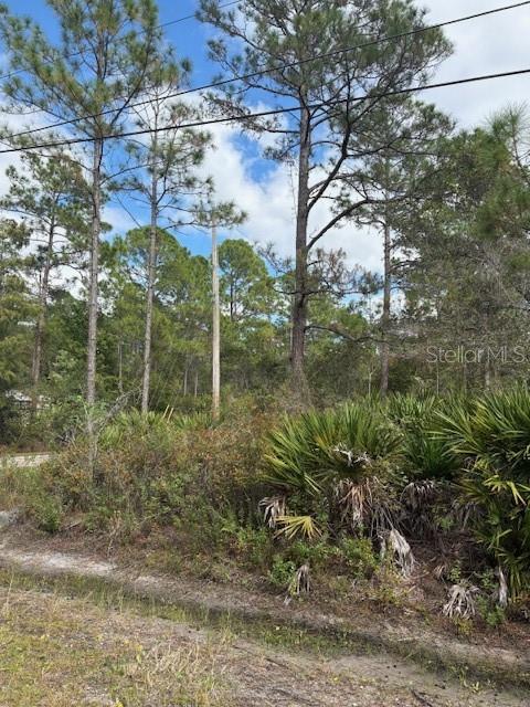 DAYTONA NORTH SUB - Land