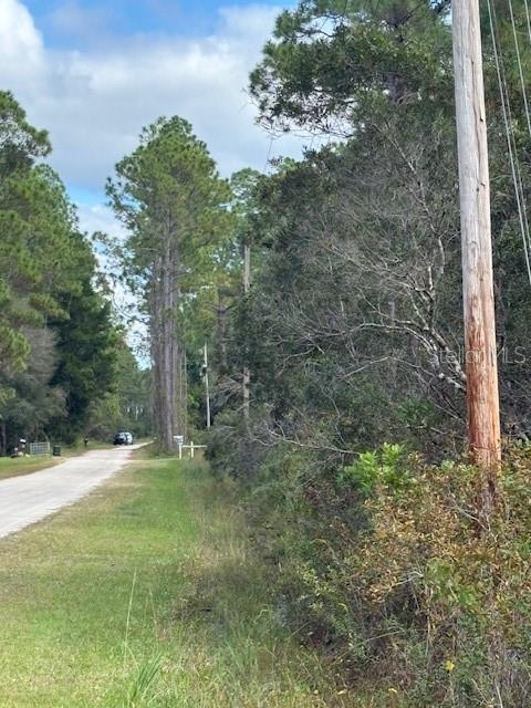 DAYTONA NORTH SUB - Land