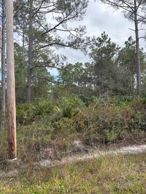 DAYTONA NORTH SUB - Land