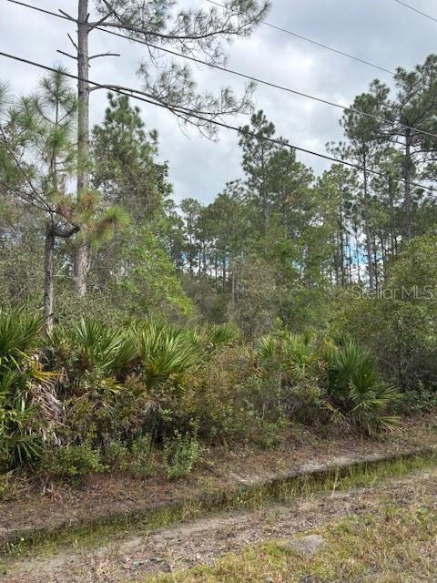 DAYTONA NORTH SUB - Land