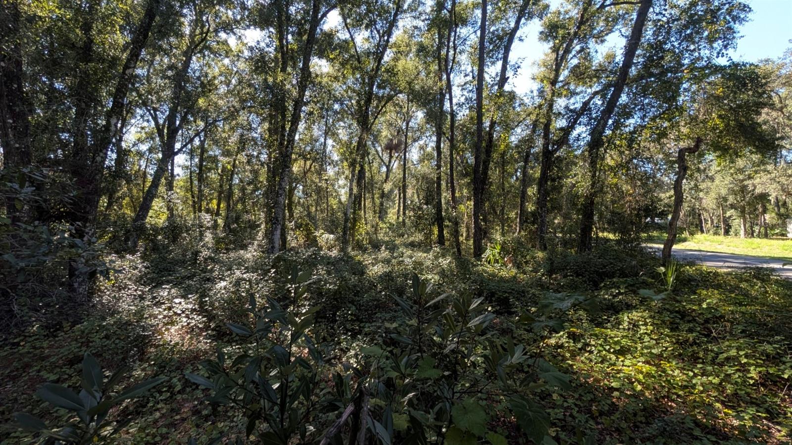 BENTONS PLYMOUTH OAKS ADD - Land