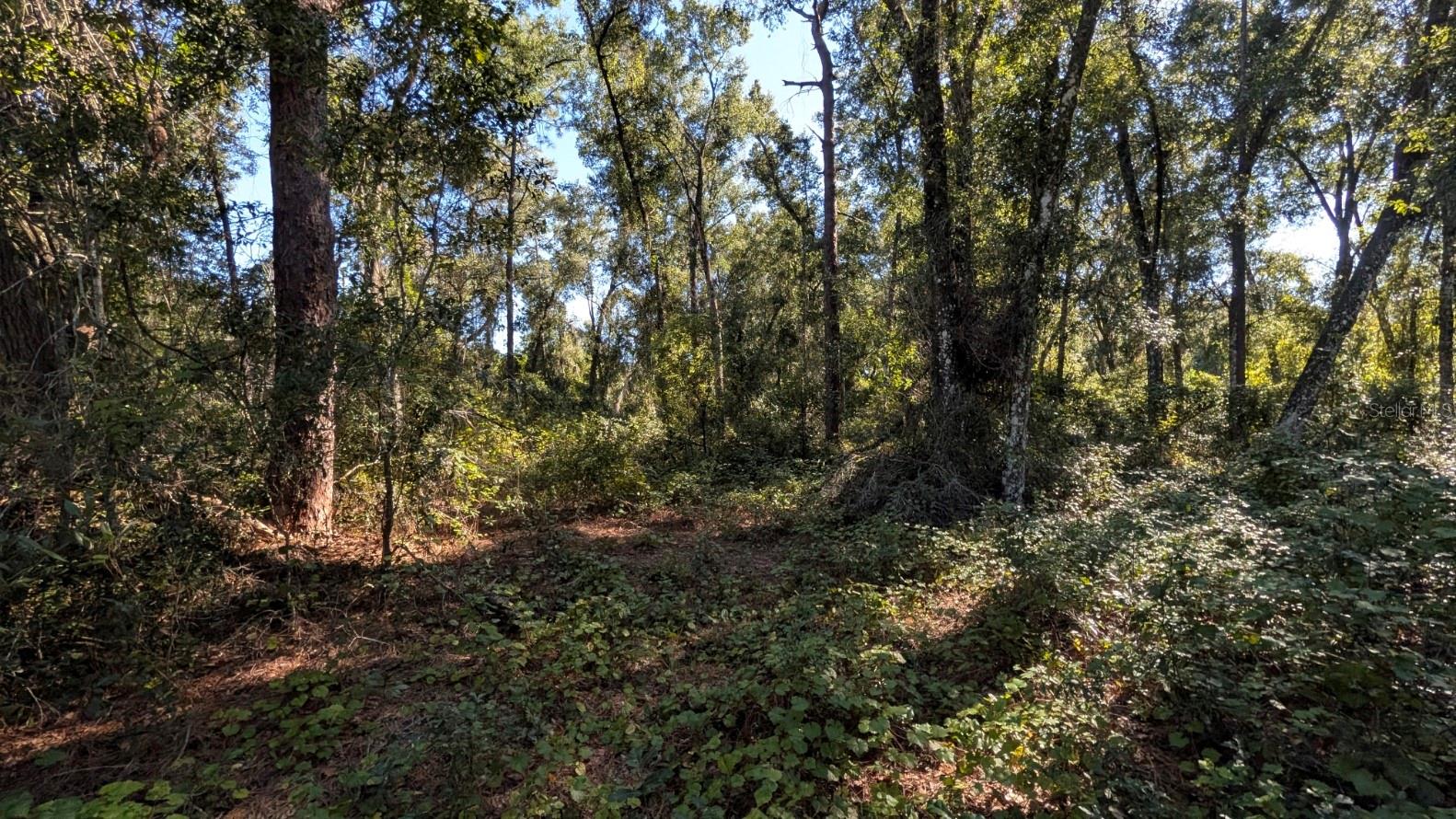 BENTONS PLYMOUTH OAKS ADD - Land