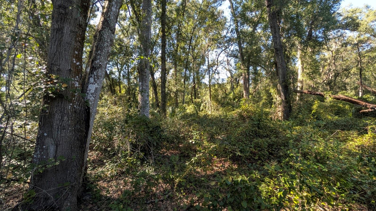 BENTONS PLYMOUTH OAKS ADD - Land