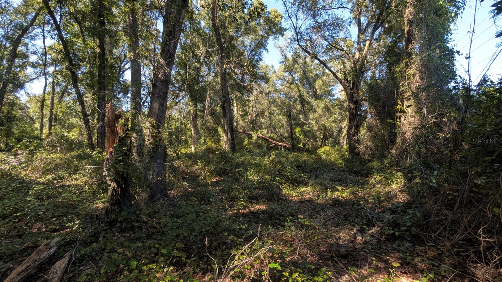 BENTONS PLYMOUTH OAKS ADD - Land