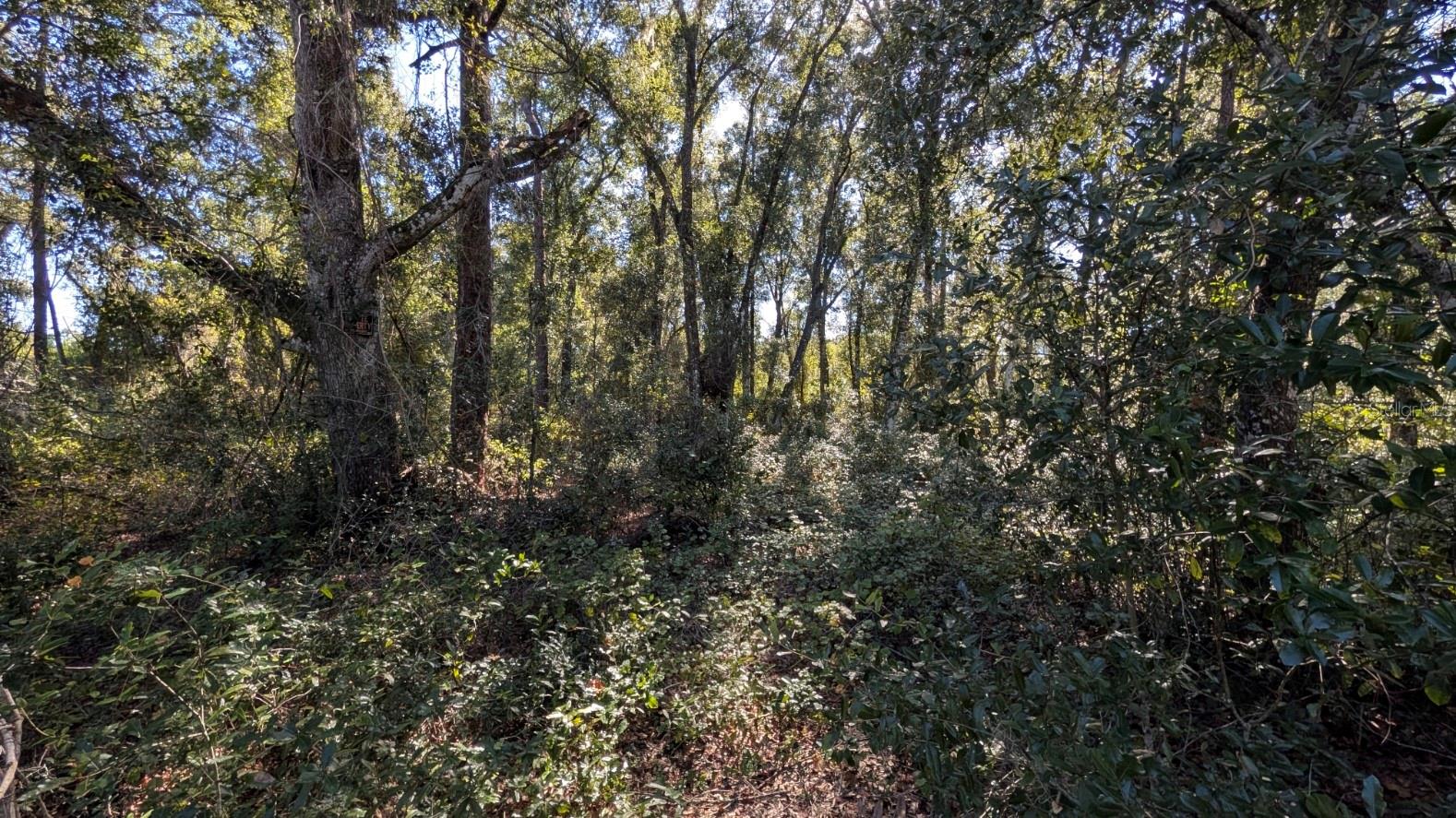 BENTONS PLYMOUTH OAKS ADD - Land