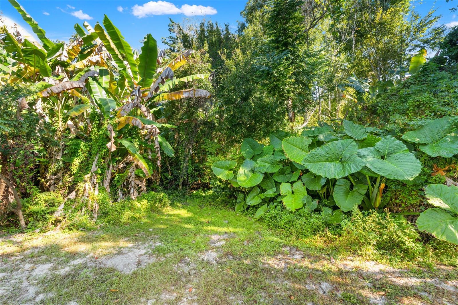 DEER PARK - Residential