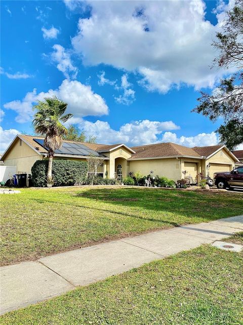 A home in RIVERVIEW