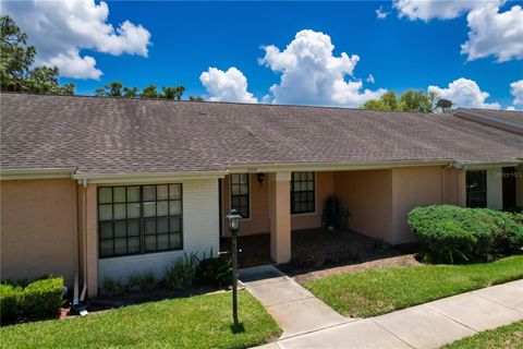Photo of 9319 Trowbridge Court, New Port Richey, FL 34655 (MLS # W7886003)