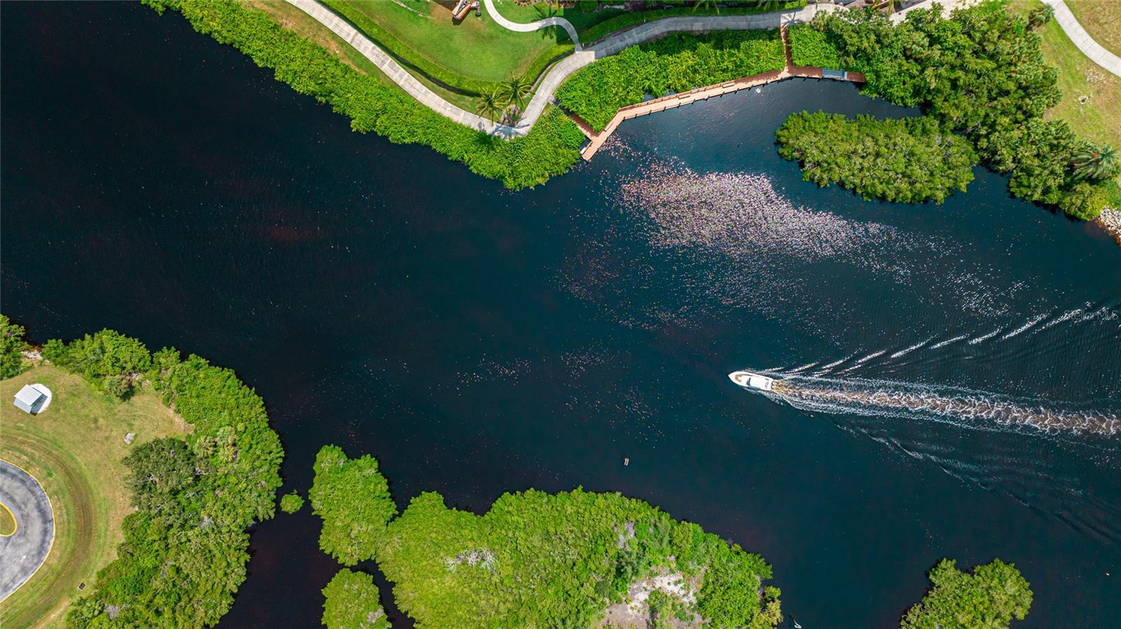 THE WATERFRONT ON VENICE ISLND - Residential