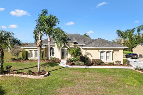 527 DOWLING CIRCLE LADY LAKE FL 32159