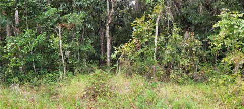 RIDGEWOOD AVENUE DE LEON SPRINGS FL 32130
