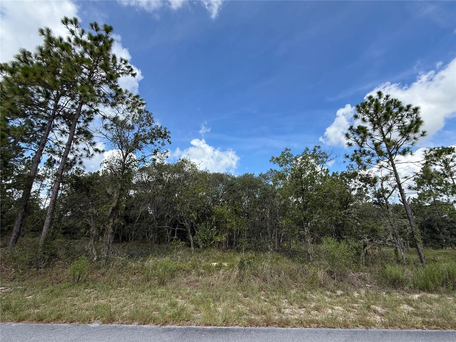 A beautifully located lot in the charming and growing neighborhood of Rainbow Lakes Estates. This lot has electric close by and is in FEMA flood zone x. This community offers many extras including a clubhouse, community center, youth center, library, park, boat ramp, 2 lakes that feature a dock for fishing or watching the sunset and a beautiful gazebo for a picnic! There is also a shuffleboard court and a horseshoe court, there is something to do for everyone in the family!! What a great place to have adventures with your family or friends who come to visit! Rainbow Springs, KP Hole, public golf courses and much more are nearby. Rainbow Lakes Estates MSD is to provide quality recreational opportunities and facilities to the residents and property owner. The community center, clubhouse, courts and ball fields are maintained through the collection of an assessment, which is part of the non ad valorem taxes on your annual real estate tax bill. There are no additional fees and no HOA!! To top all of this off you are just 15 short minutes from the Gulf. Historic Dunnellon is about 8 miles away and you will fall in love with the antique shops as well as the many fabulous and locally owned places to dine out!