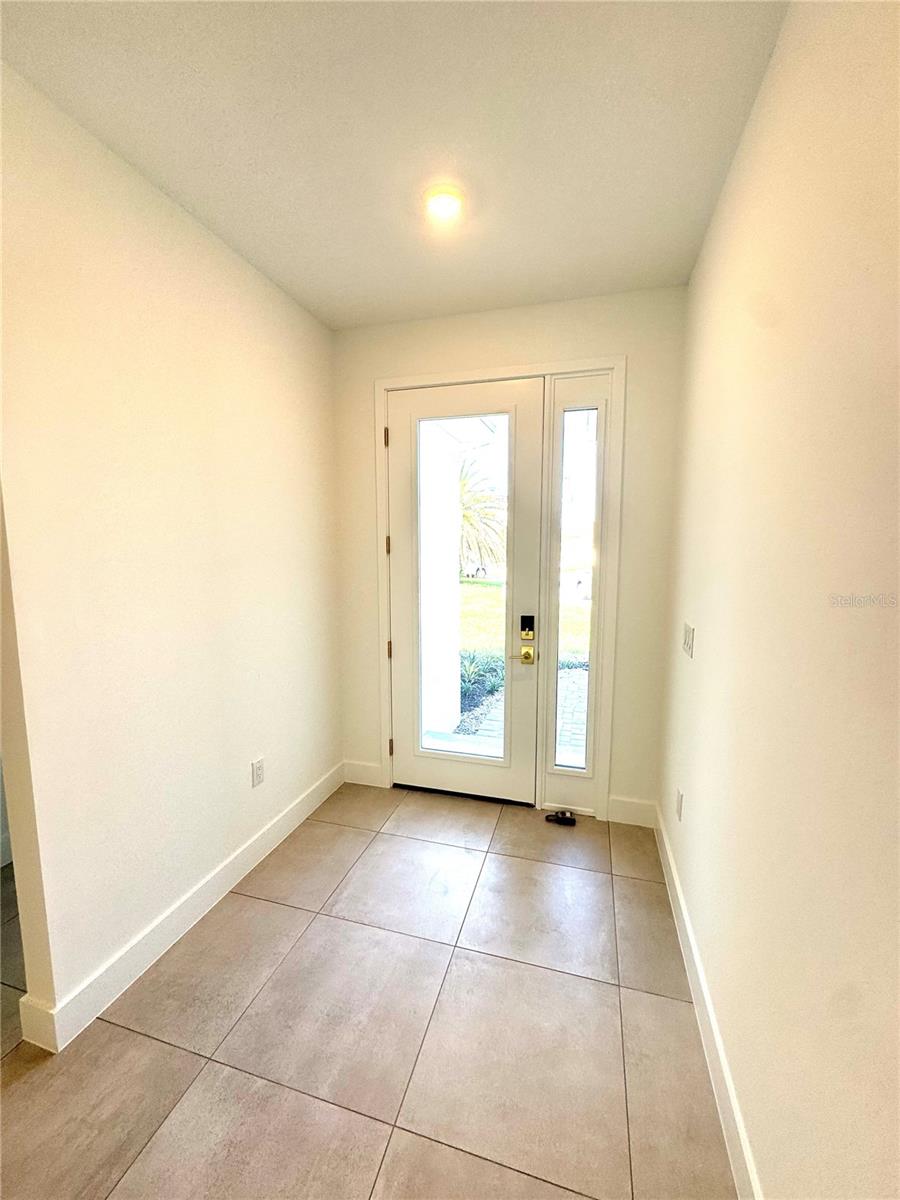 7343 N FICUS TREE
