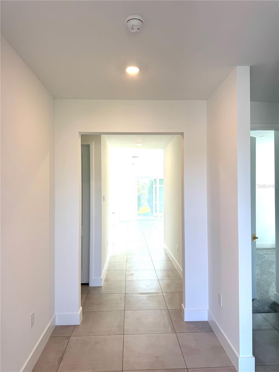 7343 N FICUS TREE