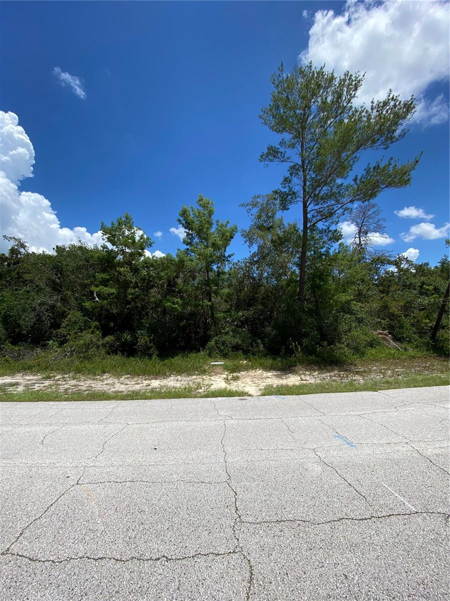 Beautiful lot, high and dry, close to shopping and I-4.
Lot next door is available. Preliminary site and soils assessment available