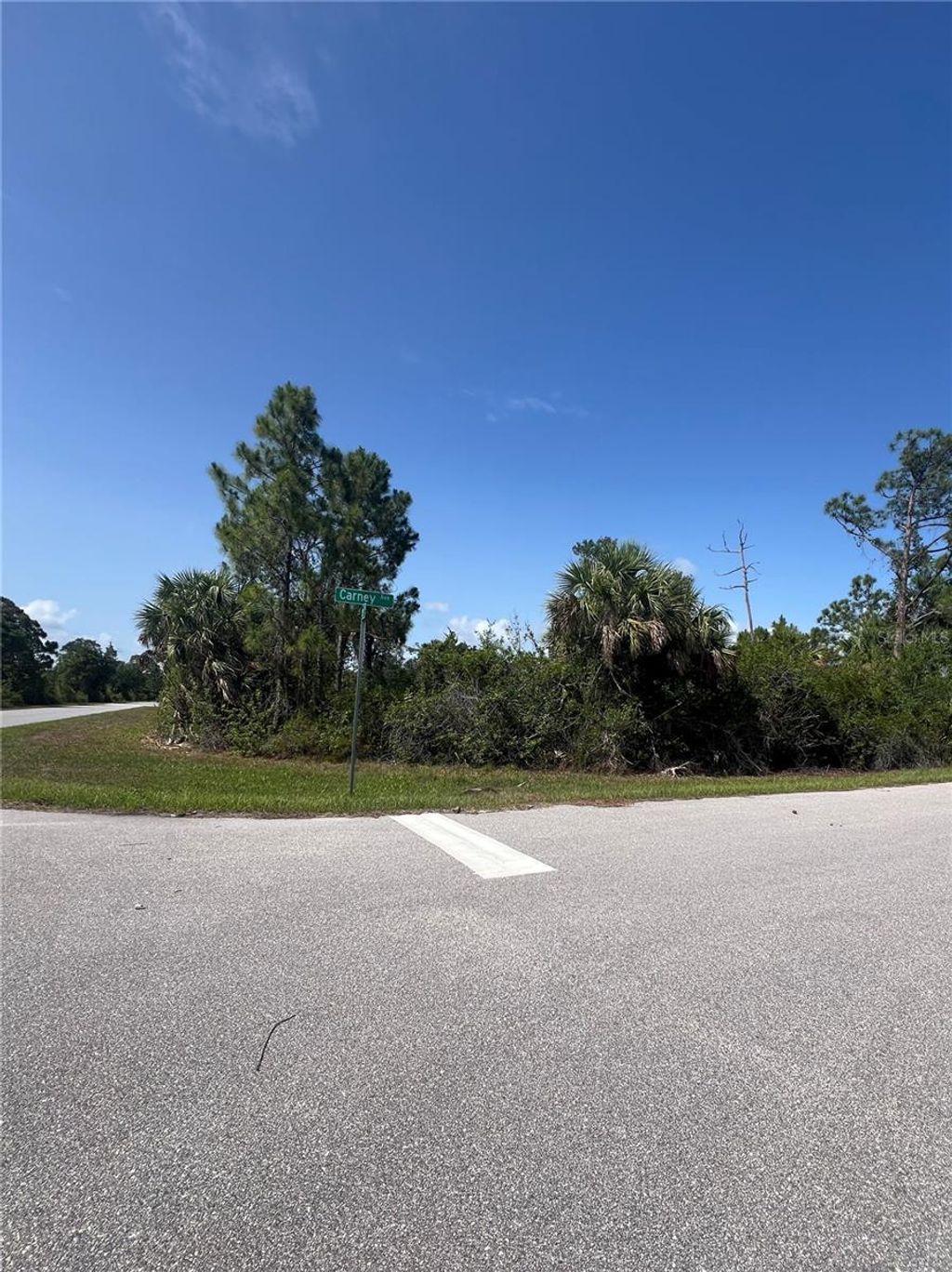 Photo of 14114 Carney Avenue, Port Charlotte, FL 33953 (MLS # TB8395778)