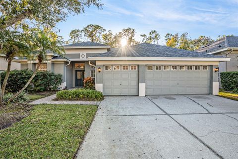 Photo of 10711 Tavistock Drive, Tampa, FL 33626 (MLS # O6362497)