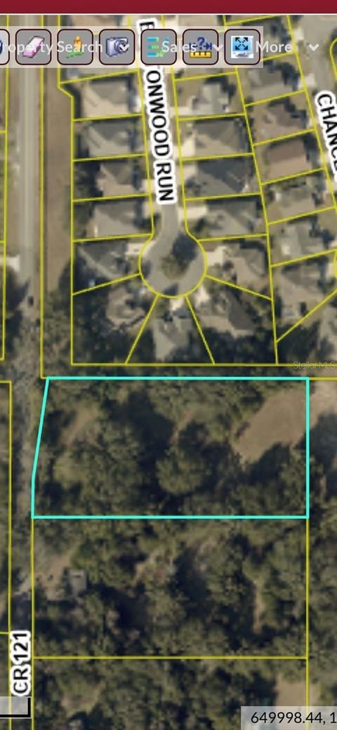 8981 COUNTY ROAD 121 WILDWOOD FL 34785