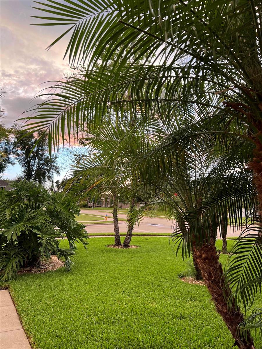 FERN GARDEN ESTATES - Residential