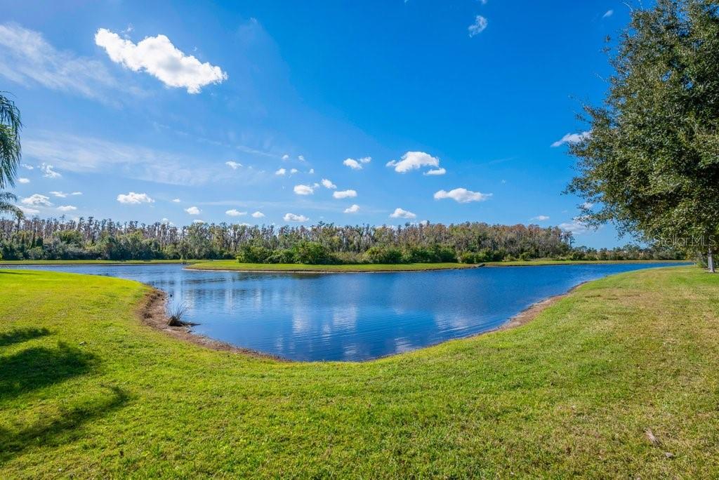 VALENCIA LAKES - Residential