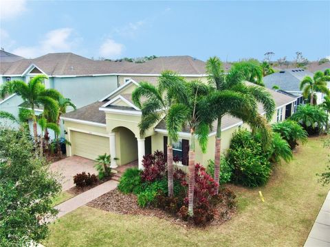 A home in APOLLO BEACH