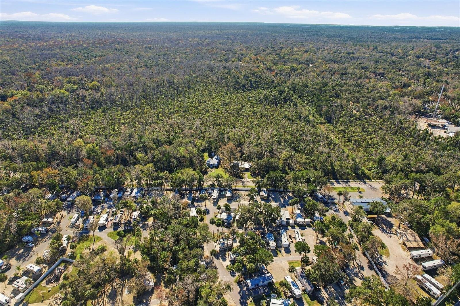 BLUE SPGS PARK HADLEYS HIDEAWAY HOMOSASSA - Residential