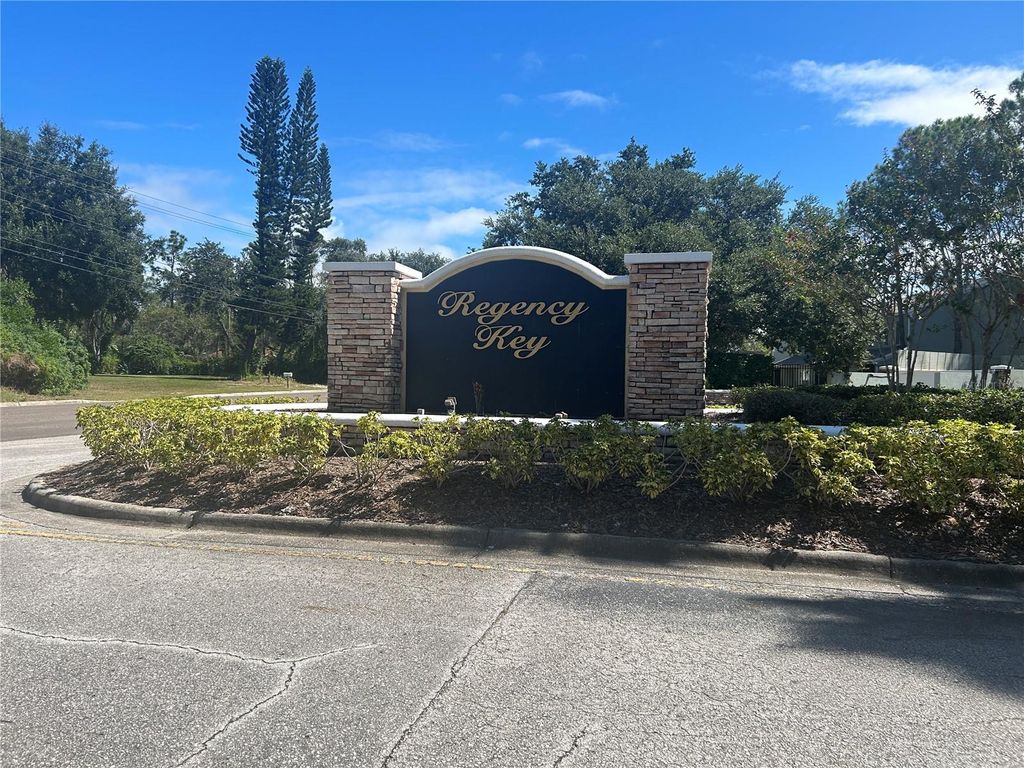 Photo of 2320 Lake Woodberry Circle, Brandon, FL 33510 (MLS # O6381366)