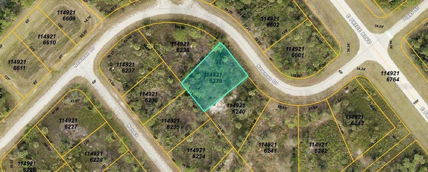 Residential vacant 
Parcel Description:LOT 39 BLK 2162 45TH ADD TO PORT CHARLOTTE
Note: buyers I emphasize the importance of conducting thorough due diligence to ensure that the property meets your expectations and requirements.
