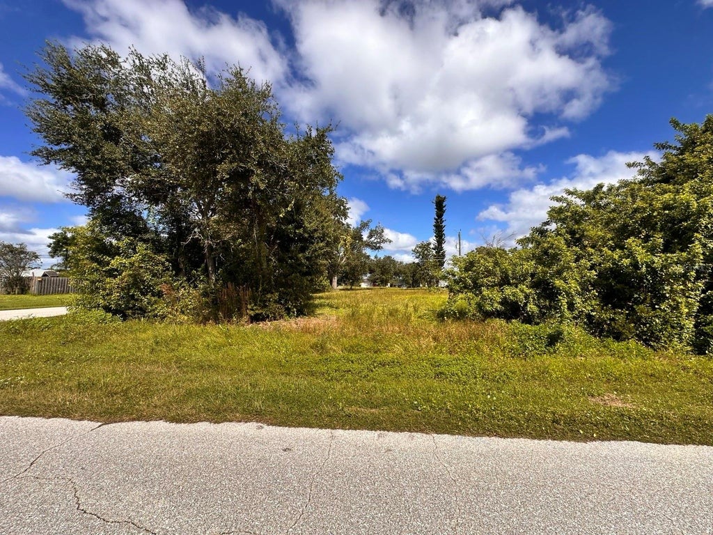 Photo of 11128 Carnegie Avenue, Englewood, FL 34224 (MLS # D6149293)