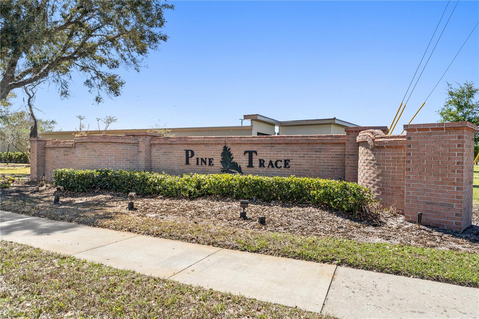 PINE TRACE - Residential