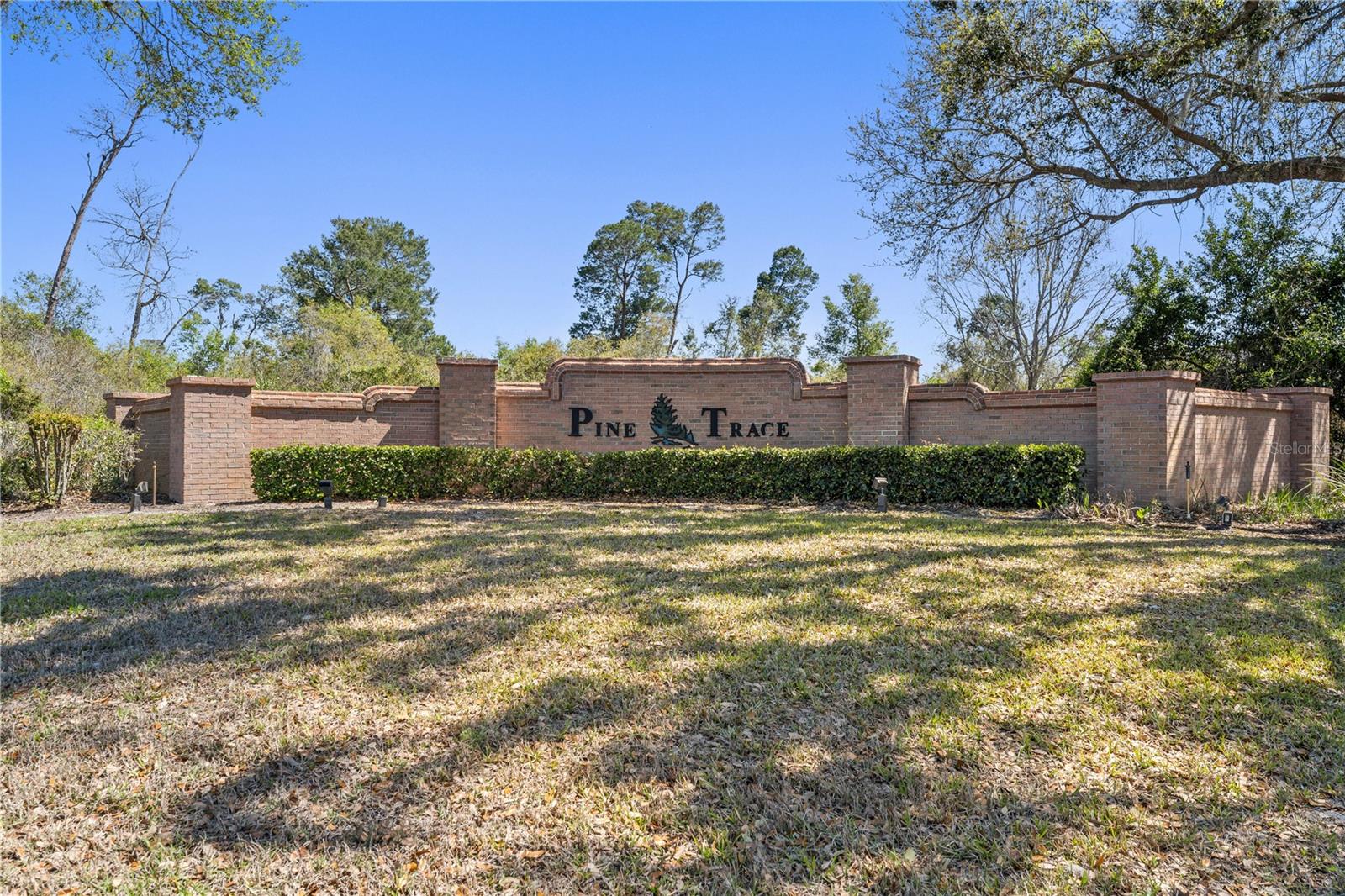 PINE TRACE - Residential