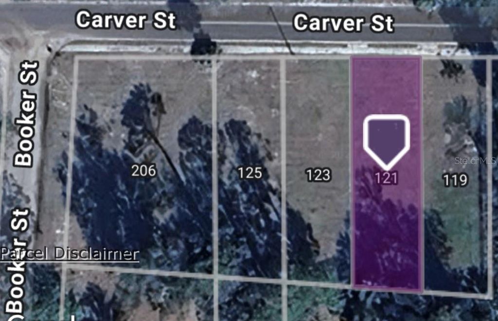 Photo of 121 Carver Street, Palatka, FL 32177 (MLS # OM714024)