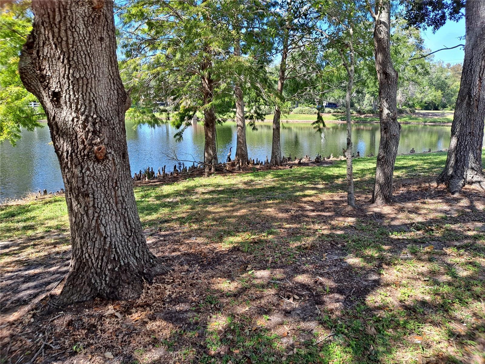 COUNTRY PLACE UNIT IV B - Residential