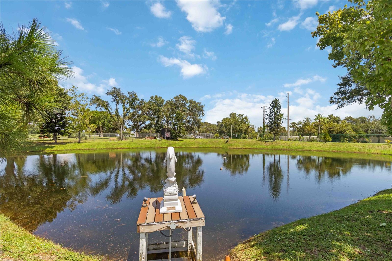 AMERI-CANA RESORTS COOP - Residential