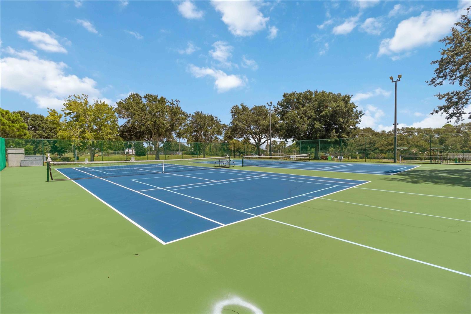 AMERI-CANA RESORTS COOP - Residential