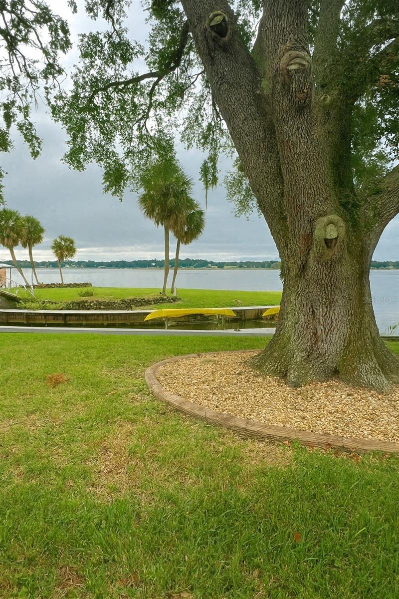 TIMUCUAN ISLAND UN 01 - Residential